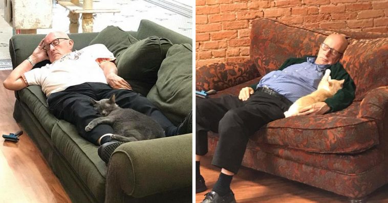 Download 75 Year Old Grandpa Volunteers And Naps With Cats At Shelter Every Day For 6 Months