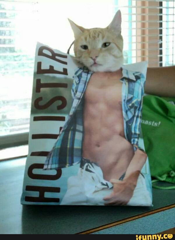 People Are Taking Hilarious Photos Of Cats In Abercrombie Bags, And The