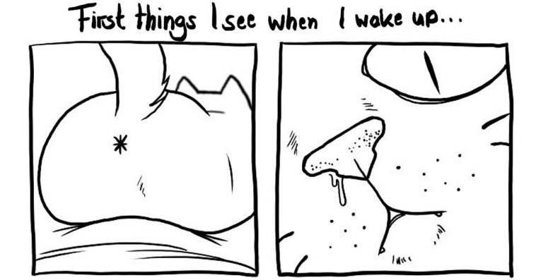 32-funny-comics-that-perfectly-depict-what-its-like-to-live-with-two-cheeky-cats-758x397.jpg