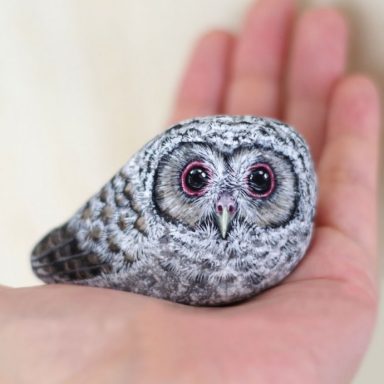 Japanese Artist Transforms Stones Into Tiny Animals That Fit In The ...