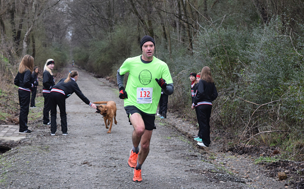 can a dog run a marathon