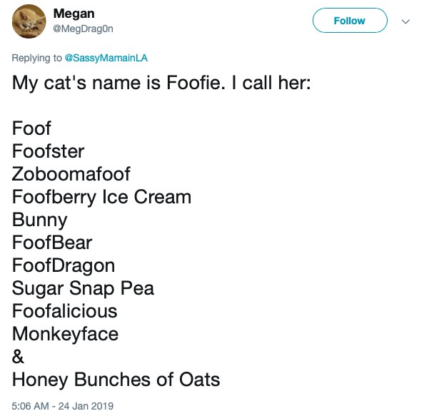 People Are Sharing All The Funny Nicknames They Call Their Pets, And It's  Hilarious