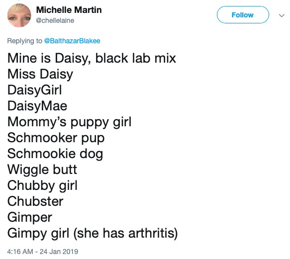 People Are Sharing All The Funny Nicknames They Call Their Pets, And It's  Hilarious