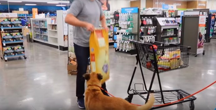 Man Brings Homeless Three-Legged Dog To Pet Store To Buy Him Everything