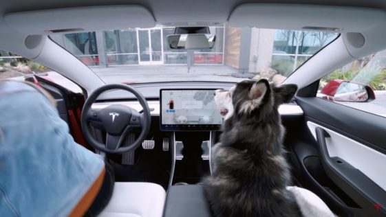 Tesla Introduces A 'Dog Mode' To Keep Your Dog Safe And Prevent People ...