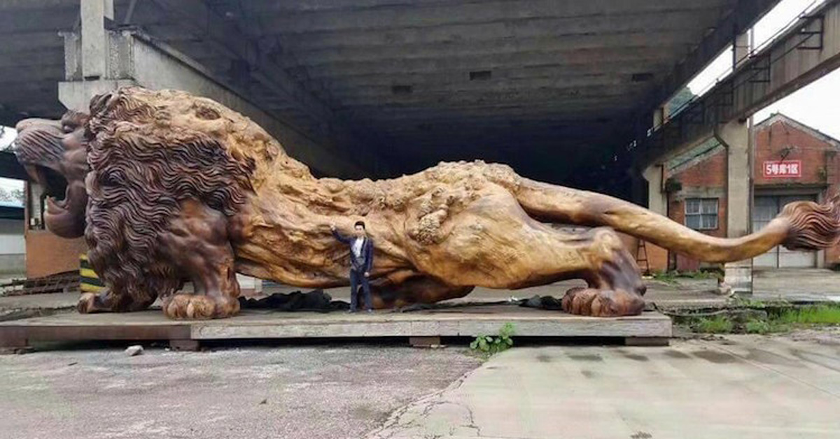 Biggest Wood Lion Of The World Carved From Single Tree Trunk Took 20