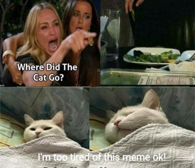 Featured image of post Hates Salad Cat Meme / Make your own images with our meme generator or animated gif maker.