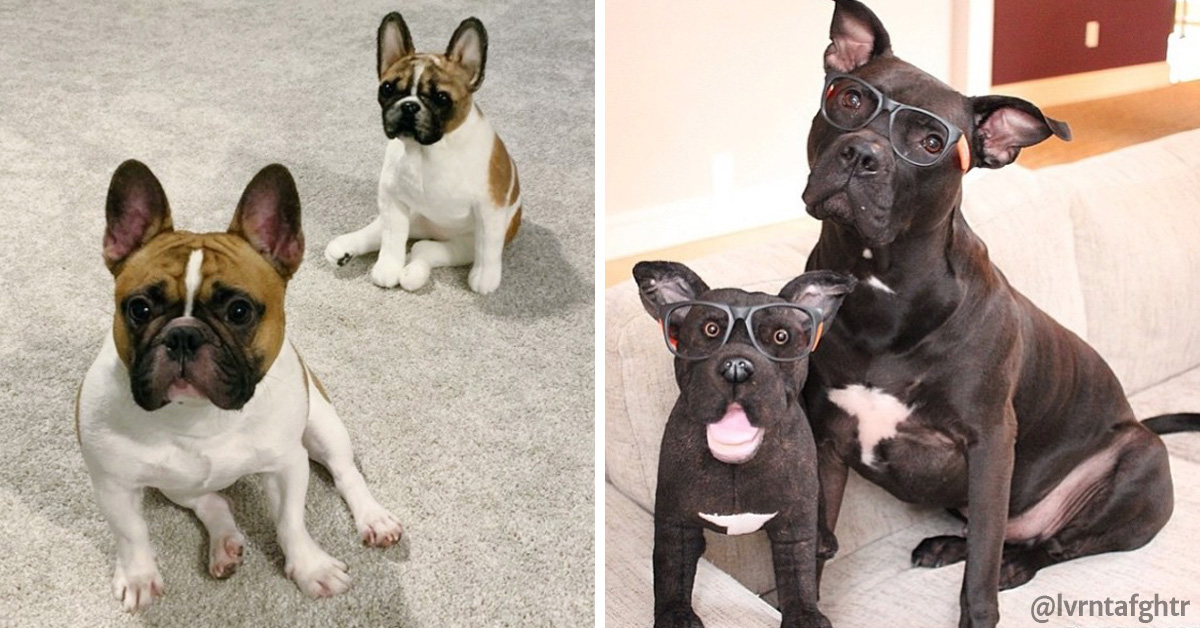 stuffed dogs that look like your dog