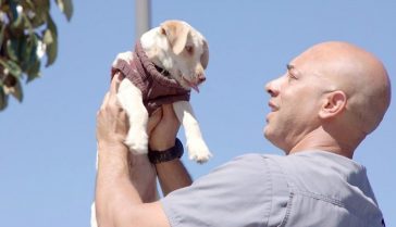 homeless veterinarian treating