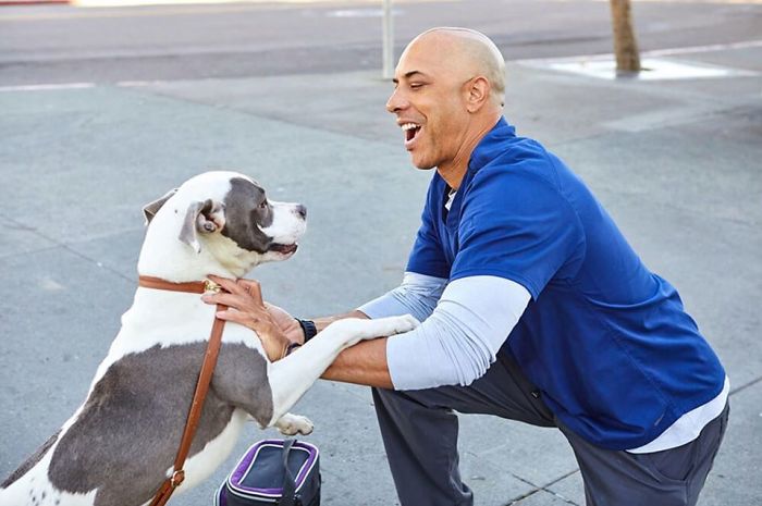 This Veterinarian Is Walking Around California Treating Homeless People S Animals For Free 09