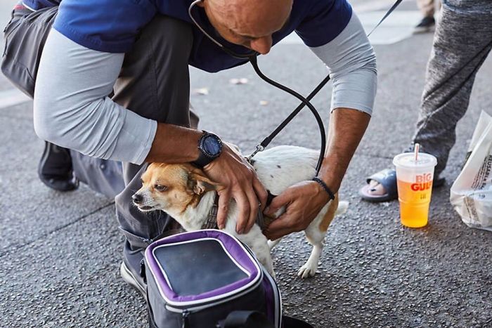 This Veterinarian Is Walking Around California Treating Homeless People S Animals For Free 10