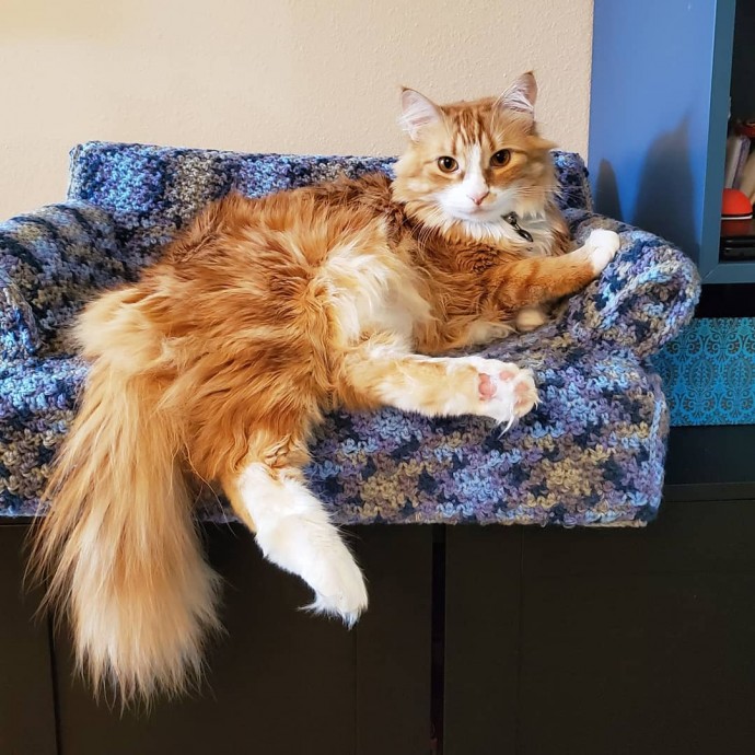 People Are Crocheting Tiny Couches For Their Cats, And The Results ...