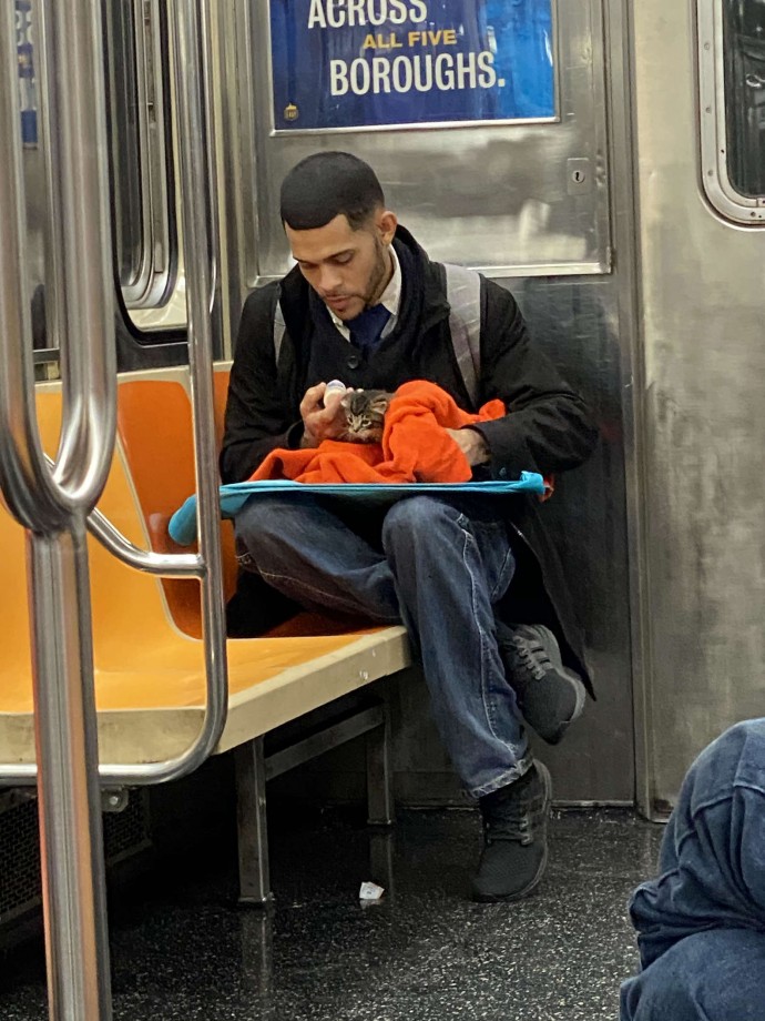man adorably takes care of tiny kitten on subway and the photos instantly go viral 01