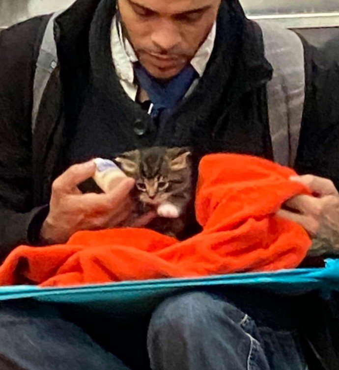 man adorably takes care of tiny kitten on subway and the photos instantly go viral 02