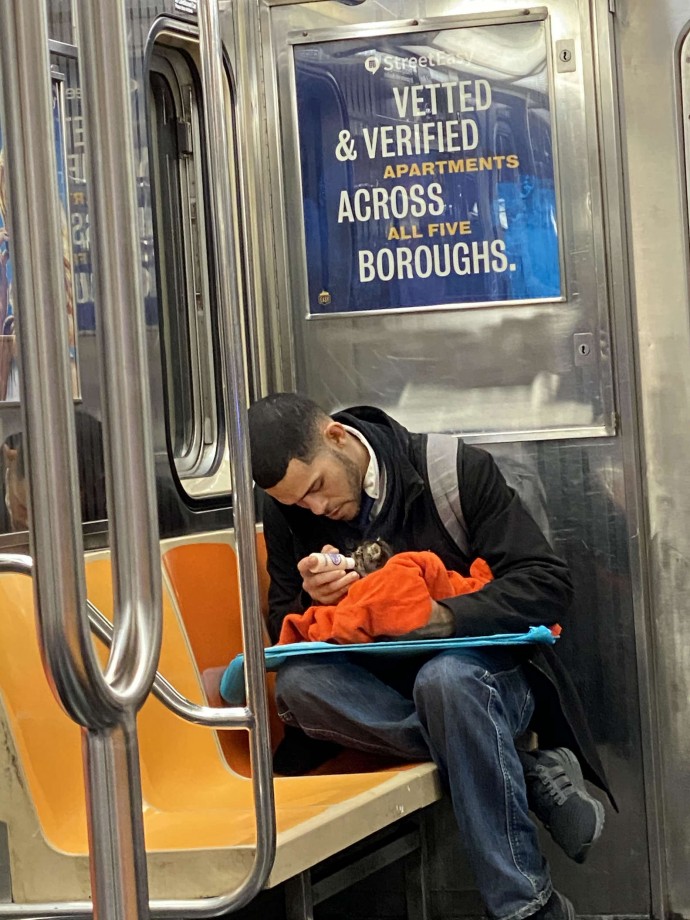 man adorably takes care of tiny kitten on subway and the photos instantly go viral 03