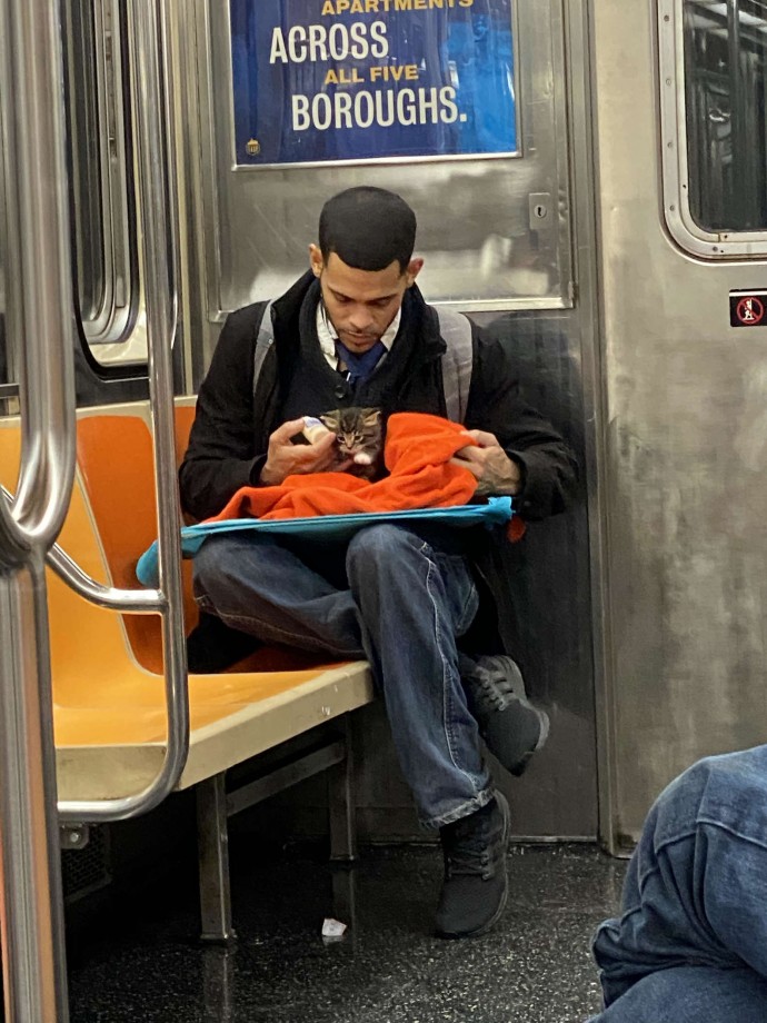 man adorably takes care of tiny kitten on subway and the photos instantly go viral 04