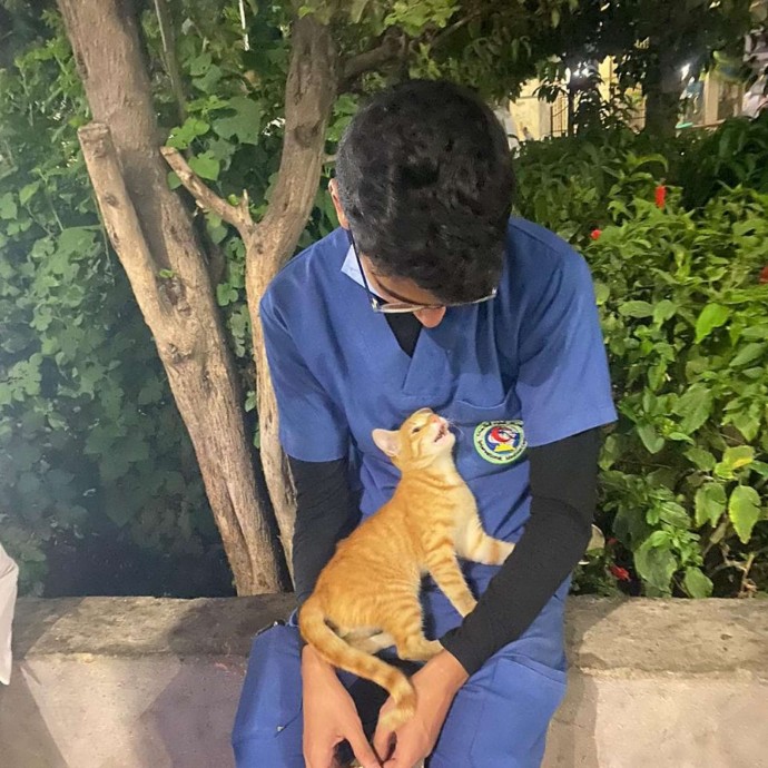 Cute Stray Cat Shows Up To A Nurse